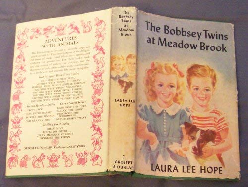Image for The Bobbsey Twins at Meadow Brook